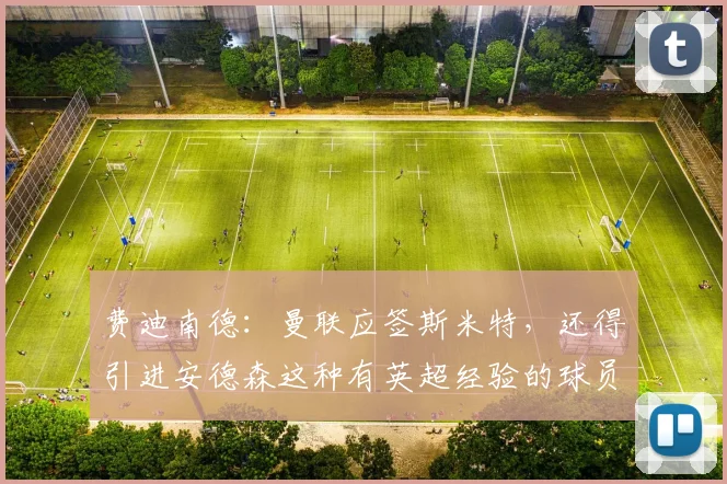 费迪南德：曼联应签斯米特，还得引进安德森这种有英超经验的球员