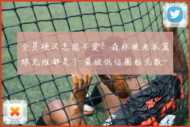 全员硬汉怎能不爱！森林狼老派篮球见谁都是干 最被低估圈粉无数