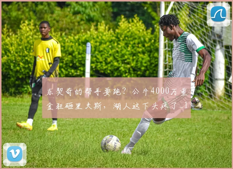 东契奇的帮手要跑？公牛4000万重金狂砸里夫斯，湖人这下头疼了_1