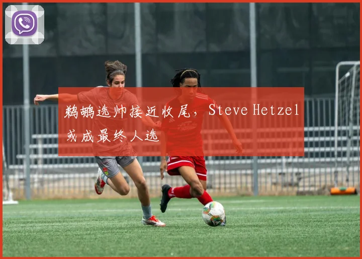 鹈鹕选帅接近收尾，Steve Hetzel或成最终人选