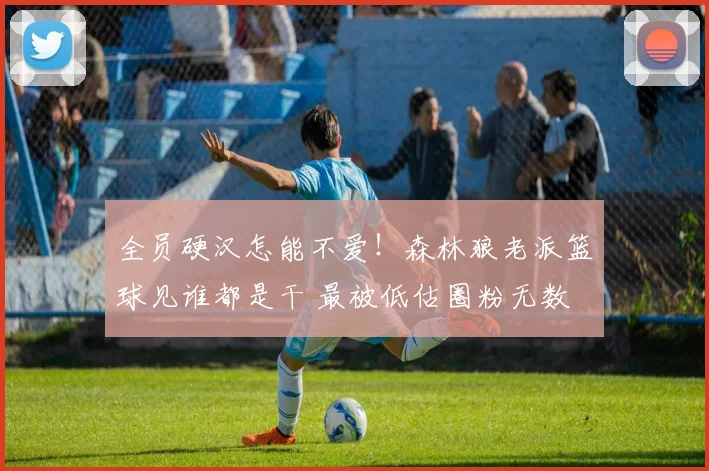 全员硬汉怎能不爱！森林狼老派篮球见谁都是干 最被低估圈粉无数