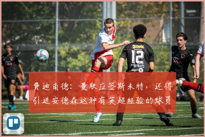 费迪南德：曼联应签斯米特，还得引进安德森这种有英超经验的球员